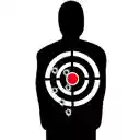 Shooting Games Collection: Favorite  Play [Launcher]  screen for extension Chrome web store in OffiDocs Chromium